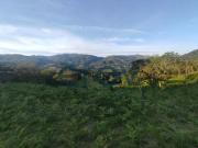 Terreno, Verim Friande Ajude