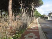 Terreno, Viana de Cega