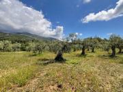 Terreno, Viandar de la Vera