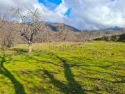 Terreno, Viandar de la Vera