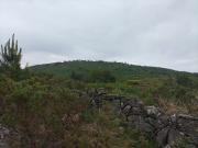 Terreno VIEIRA DO MINHO