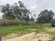 Terreno, Vila Chã de Ourique, Cartaxo | BPI Expresso...