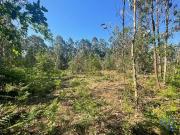 Terreno, Vila de Punhe, Viana do Castelo | BPI Expresso...