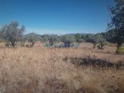 Terreno, Vila Moreira