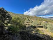 Terreno, Vila Nova de Foz Côa, Vila Nova de Foz Côa |...