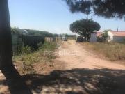 Terreno, Vila Nova de Milfontes, Odemira | BPI Expresso...