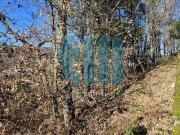 Terreno, Vila Pouca de Aguiar, VILA POUCA DE AGUIAR |...