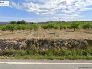 Terreno, Vila Rodona