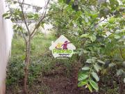 Terreno, Vila Rosália, Guarulhos R$ 850 mil, Cod: 9666