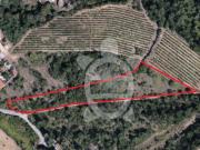 Terreno, Vila Seca e Bem Da Fé, Condeixa a Nova | BPI...