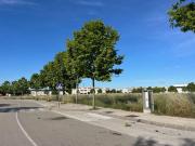 Terreno, Vilafranca del Penedès