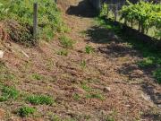 Terreno, Vilagarcía de Arousa