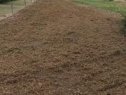 Terreno, Vilagarcía de Arousa