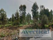 Terreno, Vilar e Mosteiró, Vila do Conde | BPI Expresso...