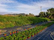 Terreno, Vilassar de Mar