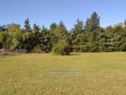 Terreno Villa Elisa