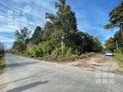 Terreno Villa Elisa