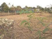 Terreno Villa Elvira