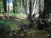 Terreno, Villanueva de la Vera