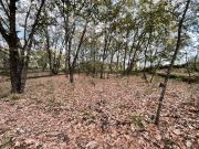 Terreno, Villanueva de la Vera