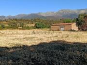 Terreno, Villanueva de la Vera