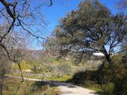 Terreno, Villanueva de la Vera