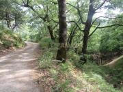 Terreno, Villanueva de la Vera