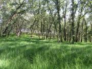 Terreno, Villanueva de la Vera