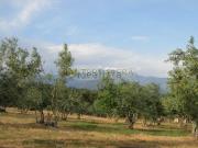 Terreno, Villanueva de la Vera