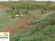 Terreno, Villanueva de los Infantes