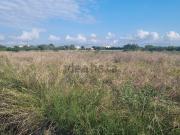 Terreno, Villarreal/Vila Real