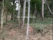 Terreno, Ville de Montagne, Nova Lima, MG