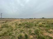 Terreno, Vinyols i els Arcs