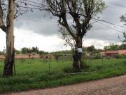 TERRENO VISTA ALEGRE