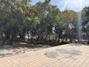 TERRENO ZONA PARQUE FUNDIDORA MONTERREY RENTA