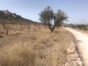 Terreno/Finca Rústica en alquiler en Abanilla, Murcia