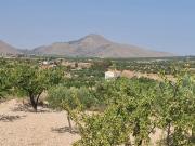 Terreno/Finca Rústica en venta en Macisvenda, Murcia