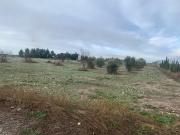 Terreno/Finca Rústica en venta en Albacete, Albacete