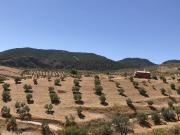 Terreno/Finca Rústica en venta en Albuñuelas, Granada