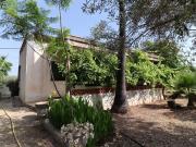 Terreno/Finca Rústica en venta en Alcanar, Tarragona...