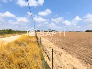 Terreno/Finca Rústica en venta en Alcantarilla, Murcia