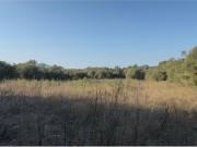 Terreno/Finca Rústica en venta en Algaida, Mallorca