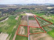 Terreno/Finca Rústica en venta en Algaida, Mallorca