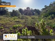 Terreno/Finca Rústica en venta en Algaida, Mallorca