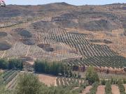 Terreno/Finca Rústica en venta en Cacín, Granada
