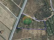 Terreno/Finca Rústica en venta en Alhama de Murcia, Murcia