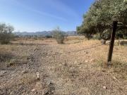 Terreno/Finca Rústica en venta en Alhaurín de la Torre,...