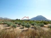 Terreno/Finca Rústica en venta en Alicante / Alacant,...