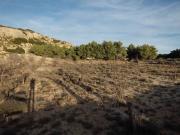 Terreno/Finca Rústica en venta en Almansa, Albacete
