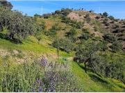 Terreno/Finca Rústica en venta en Alora, Málaga